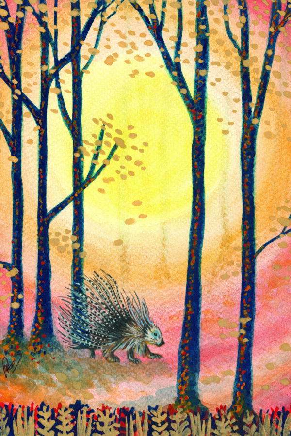 Looking Fine Porcupine — Hand-Embellished Fine Art Print